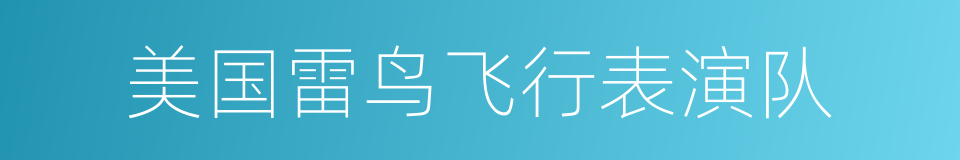 美国雷鸟飞行表演队的同义词