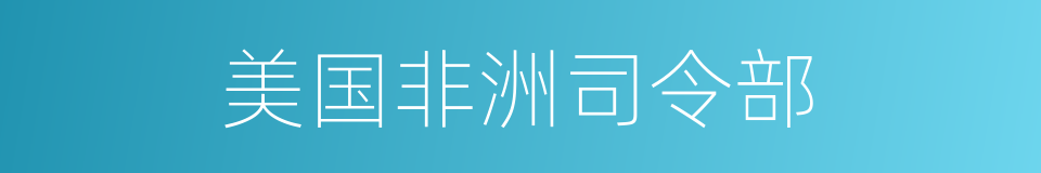 美国非洲司令部的同义词