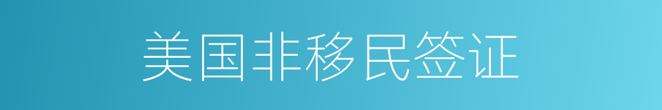 美国非移民签证的同义词