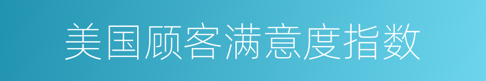 美国顾客满意度指数的同义词