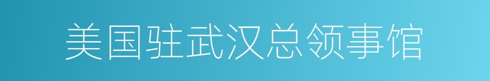 美国驻武汉总领事馆的同义词