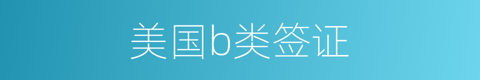 美国b类签证的同义词