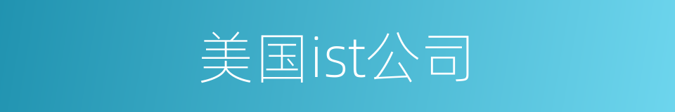 美国ist公司的同义词