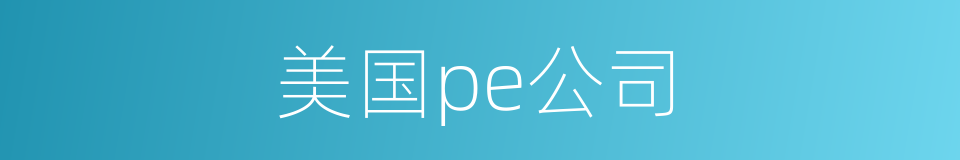 美国pe公司的同义词