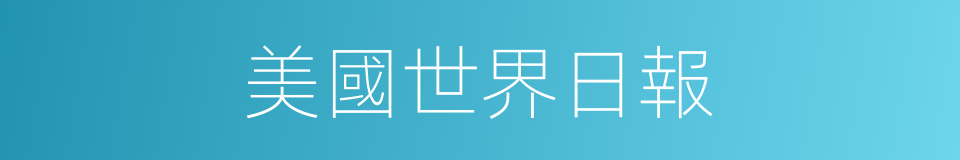 美國世界日報的同義詞
