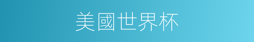 美國世界杯的同義詞