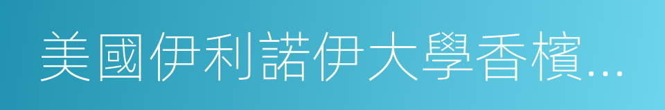 美國伊利諾伊大學香檳分校的同義詞