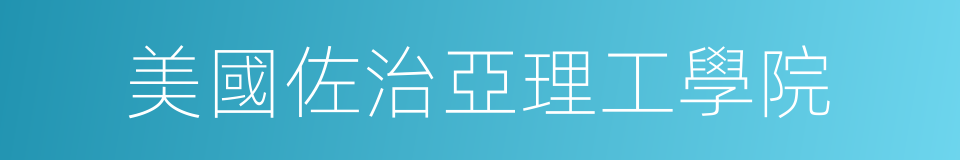 美國佐治亞理工學院的同義詞