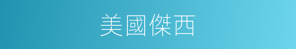 美國傑西的同義詞