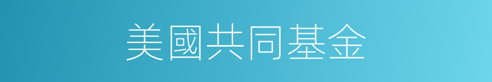 美國共同基金的同義詞