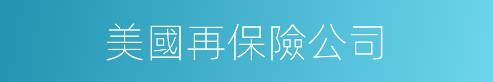 美國再保險公司的同義詞