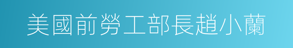 美國前勞工部長趙小蘭的同義詞