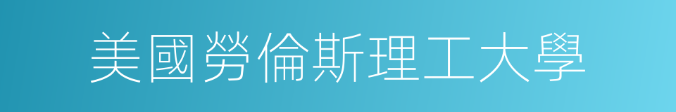 美國勞倫斯理工大學的同義詞