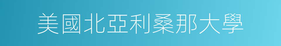美國北亞利桑那大學的同義詞