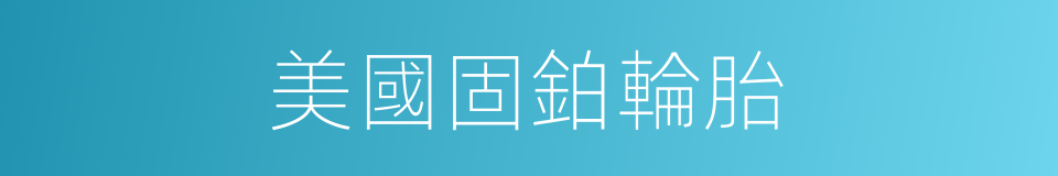 美國固鉑輪胎的同義詞