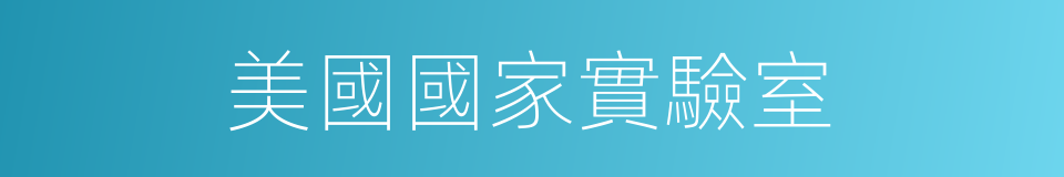 美國國家實驗室的同義詞