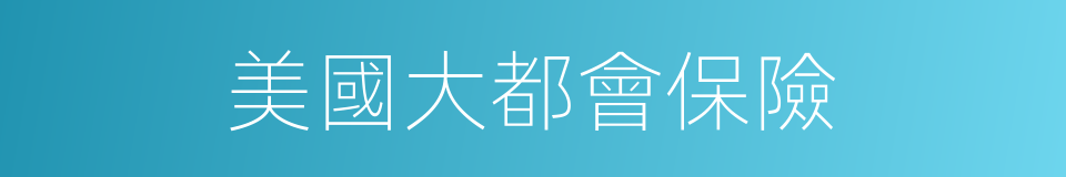 美國大都會保險的同義詞