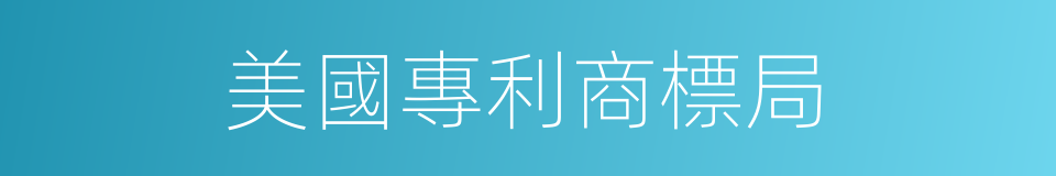 美國專利商標局的同義詞