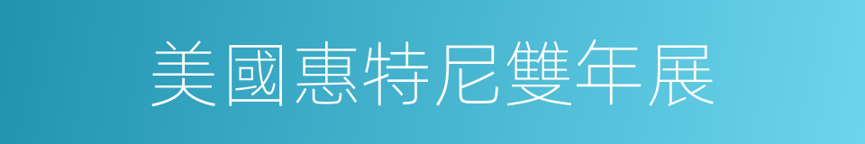 美國惠特尼雙年展的同義詞