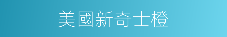美國新奇士橙的同義詞