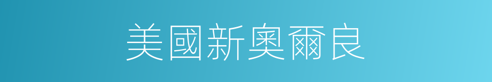 美國新奧爾良的同義詞