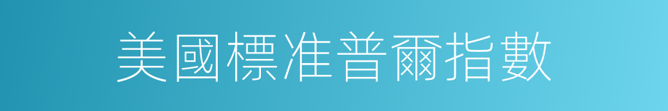 美國標准普爾指數的同義詞