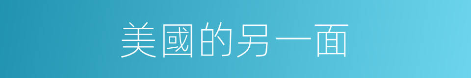 美國的另一面的同義詞