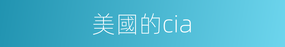 美國的cia的同義詞