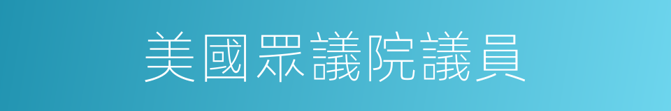 美國眾議院議員的同義詞