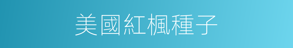 美國紅楓種子的同義詞