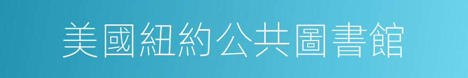 美國紐約公共圖書館的同義詞