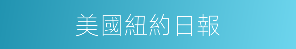 美國紐約日報的同義詞