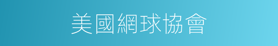 美國網球協會的同義詞