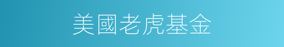 美國老虎基金的同義詞