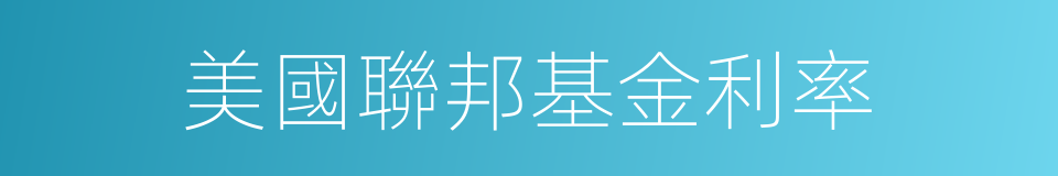 美國聯邦基金利率的同義詞