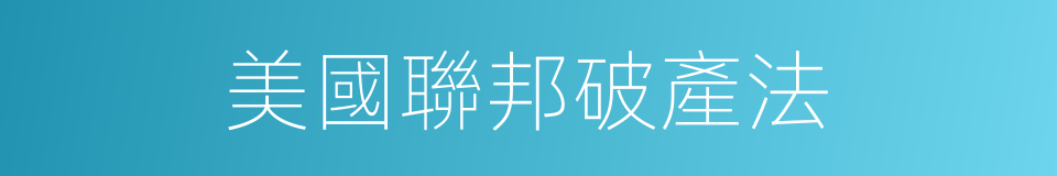 美國聯邦破產法的同義詞