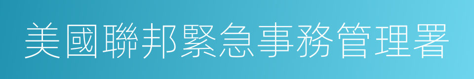 美國聯邦緊急事務管理署的同義詞