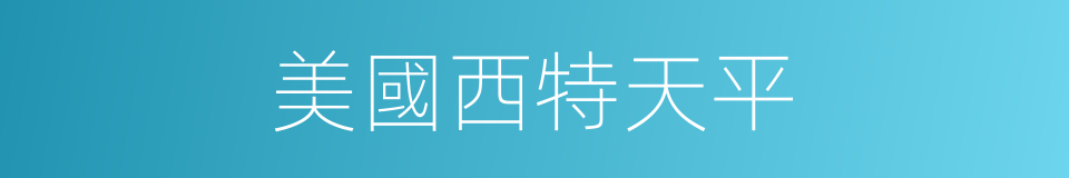 美國西特天平的同義詞