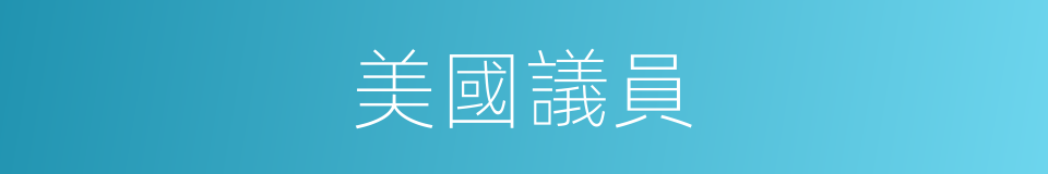 美國議員的同義詞
