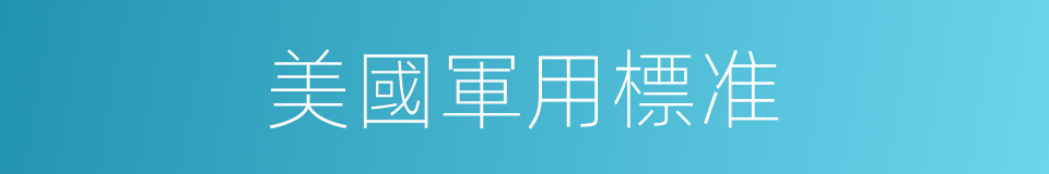 美國軍用標准的同義詞