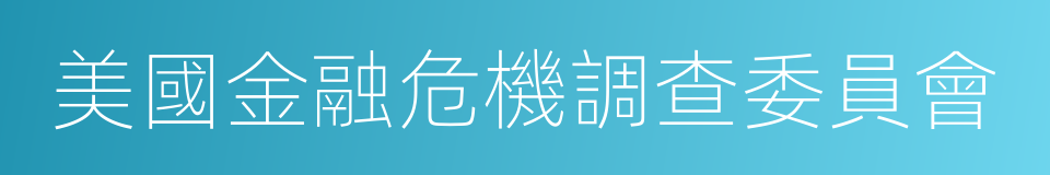 美國金融危機調查委員會的同義詞