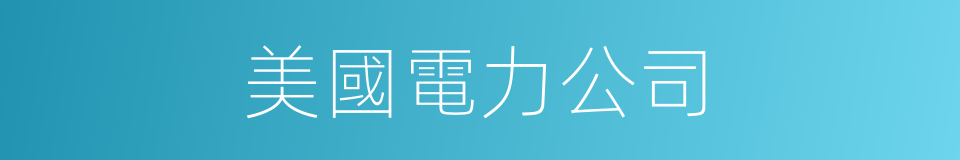美國電力公司的同義詞
