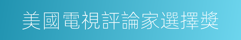 美國電視評論家選擇獎的同義詞