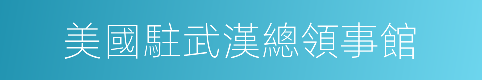 美國駐武漢總領事館的同義詞