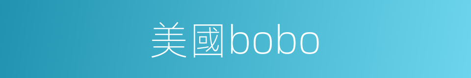 美國bobo的同義詞