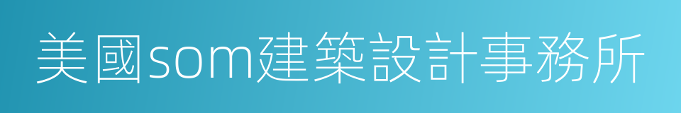 美國som建築設計事務所的同義詞