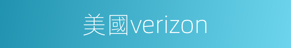 美國verizon的同義詞