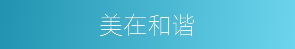 美在和谐的同义词