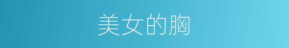 美女的胸的同义词