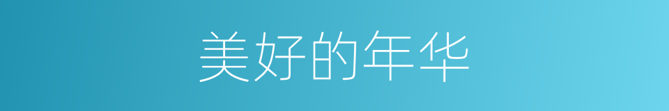 美好的年华的同义词